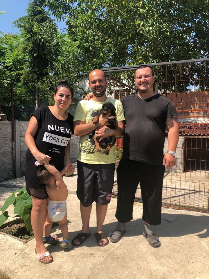 aReS Haus Of Rottweiler Türkiye Anısına